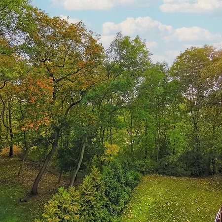 公寓 Quartier Victoria - Exklusives Souterrain-studio Am Goethepark Mit Kueche