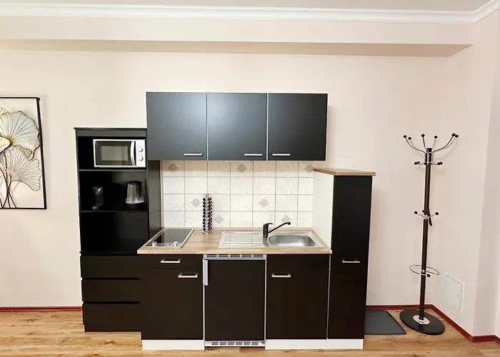 Apartamento Quartier Victoria - Exklusives Souterrain-studio Am Goethepark Mit Küche Weimar (Thuringia)